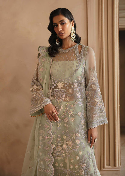 Akbar Aslam Organza Fancy