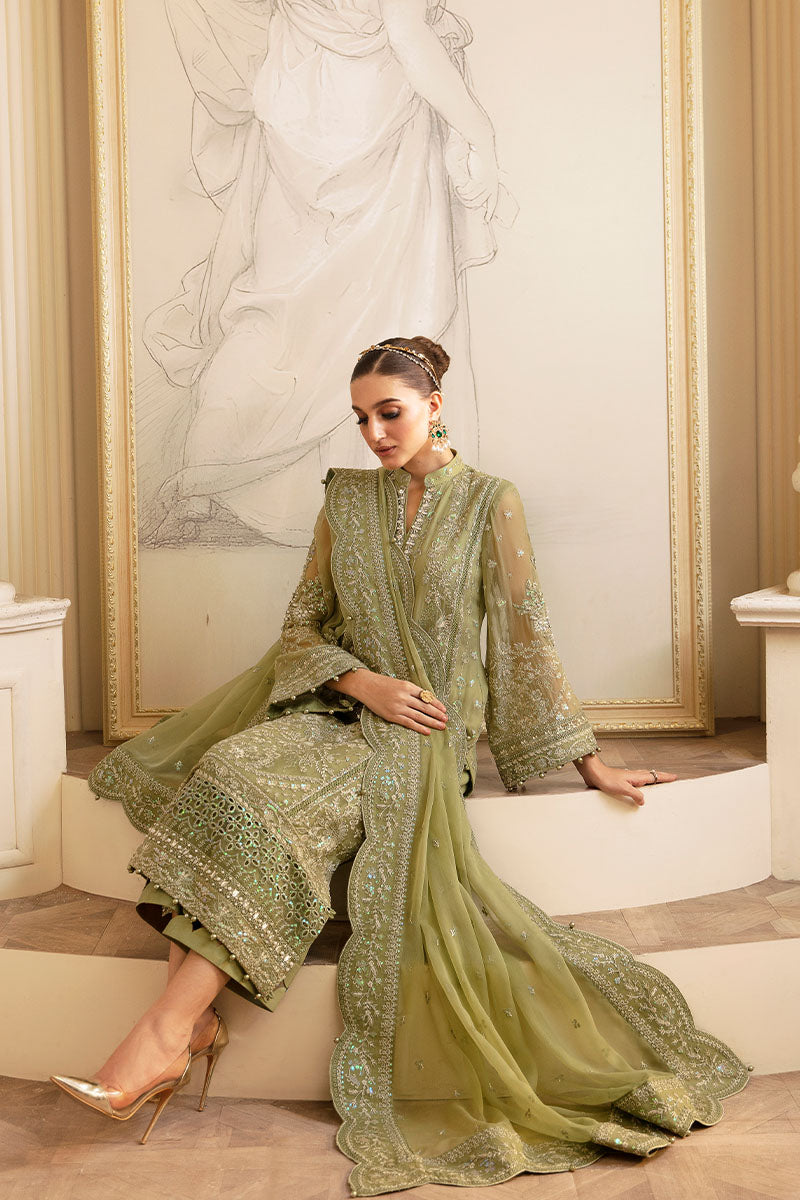 Gulaal Chiffon Fancy