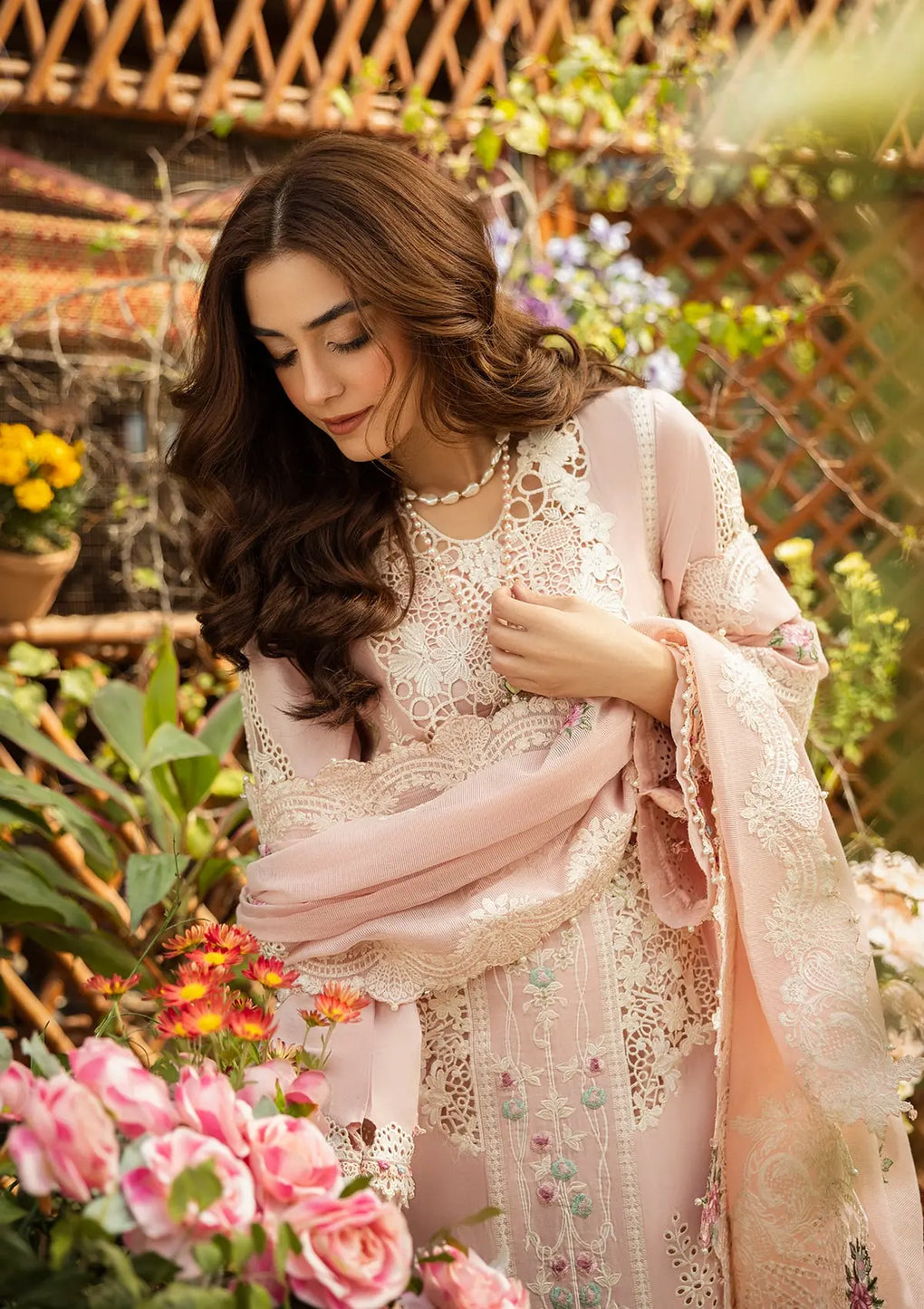 Elaf Cotton Fancy