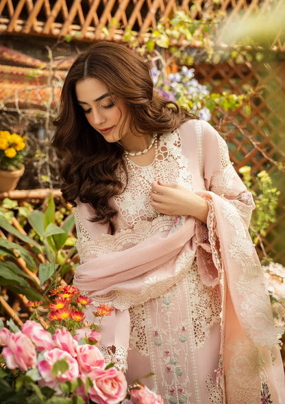 Elaf Cotton Fancy