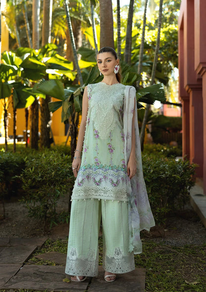 Elaf Lawn Fancy