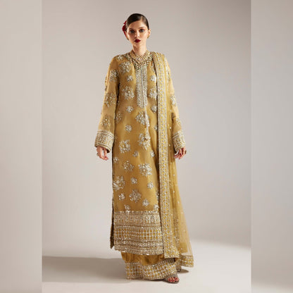 Hussain Rehar Organza Fancy