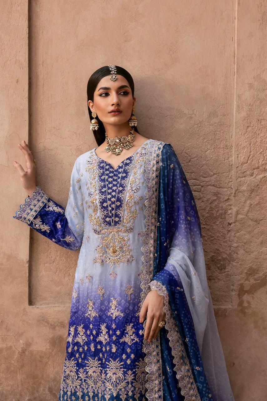 Emaan Adeel Chiffon Fancy