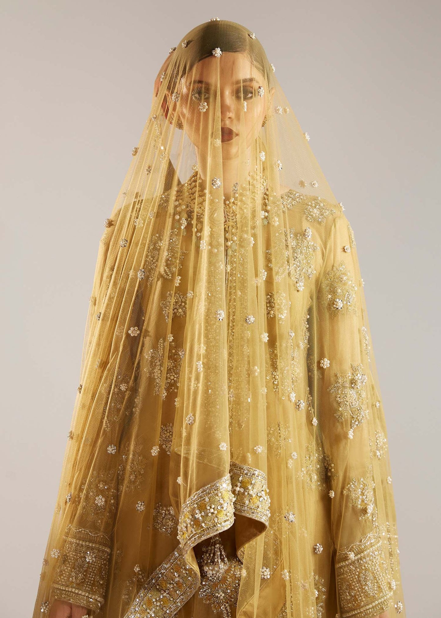 Hussain Rehar Organza Fancy