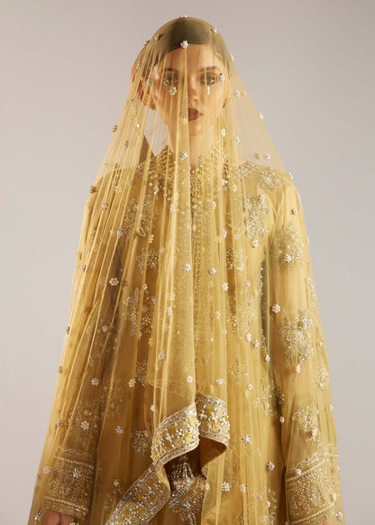 Hussain Rehar Organza Fancy