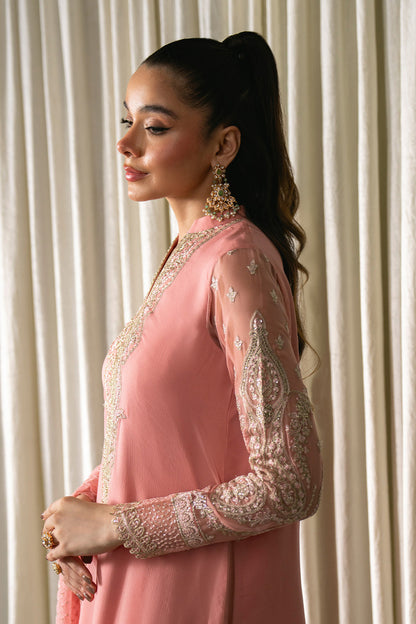 Neeshay Chiffon Fancy