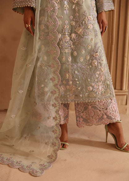 Akbar Aslam Organza Fancy