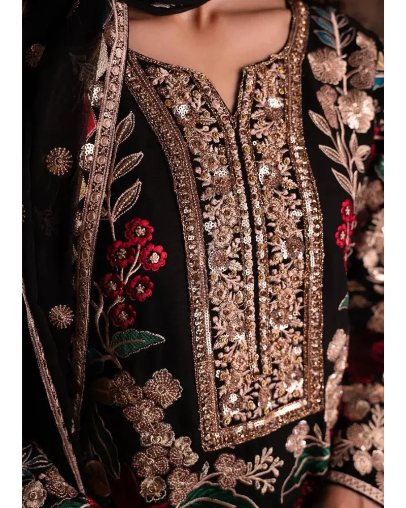 Rang Rasiya Chiffon Fancy