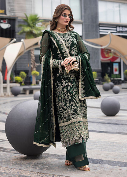 Sahane Chiffon Fancy