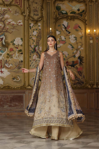 Saadia Asad Cotton Net Fancy