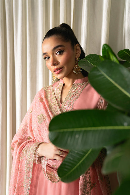 Neeshay Chiffon Fancy