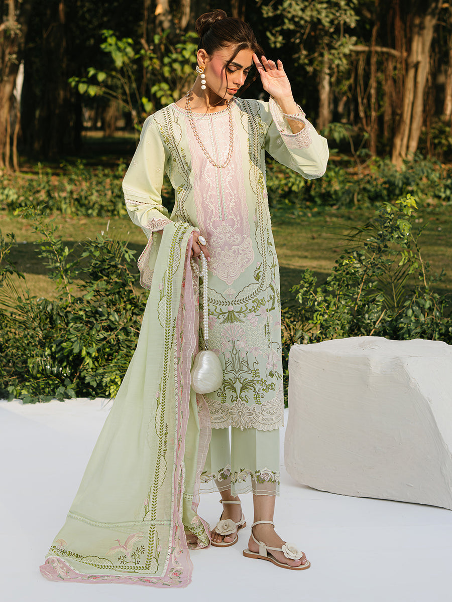 Bin Ilyas Lawn Fancy