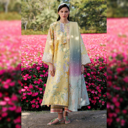 Jazmin Lawn Fancy