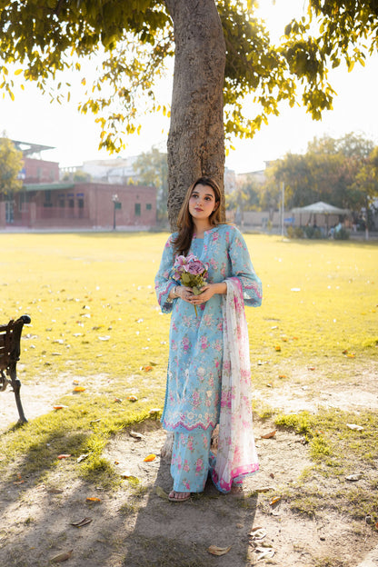 Aneela's Lawn Fancy
