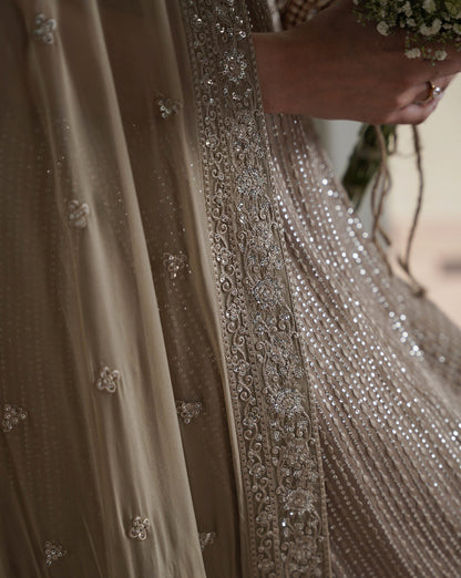 Zaib Chiffon Fancy
