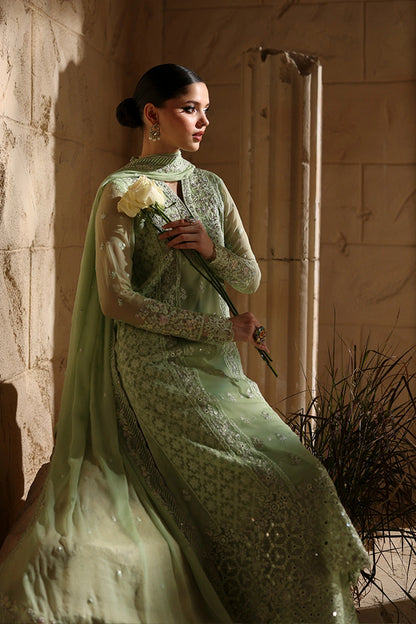 Azure Chiffon Fancy