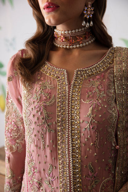 Gulaal Chiffon Fancy