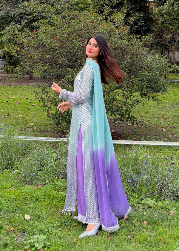 Chiffon Fancy