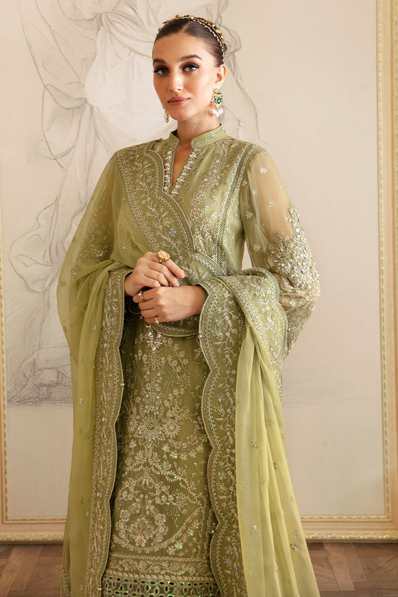 Gulaal Chiffon Fancy