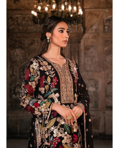 Rang Rasiya Chiffon Fancy