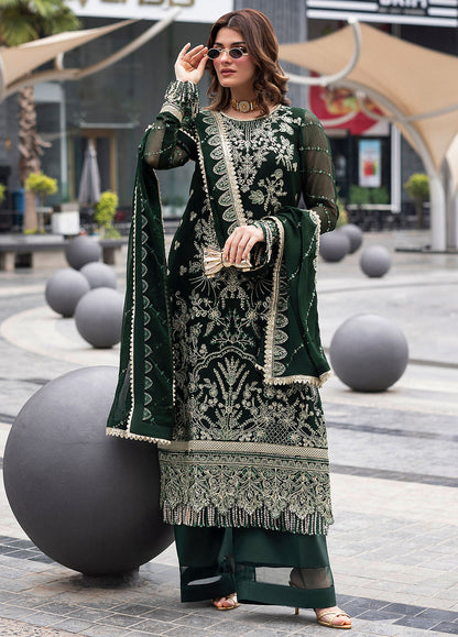 Sahane Chiffon Fancy