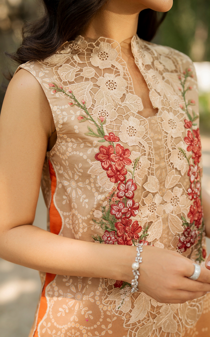 Asifa & Nabeel Lawn Fancy