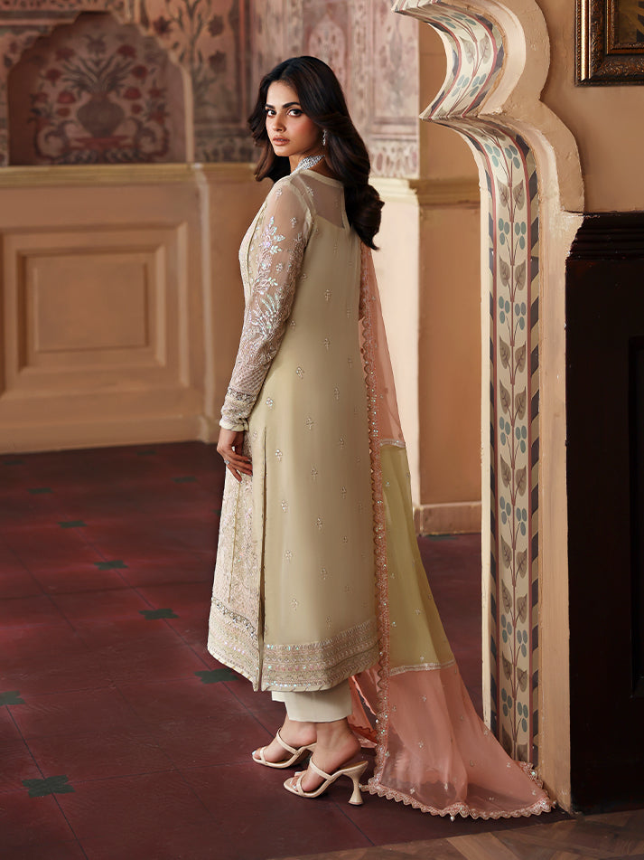 Gulaal Chiffon Fancy