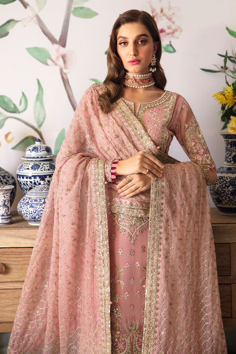 Gulaal Chiffon Fancy