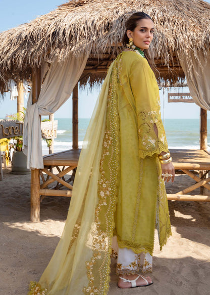 Saira Shakira Lawn Fancy