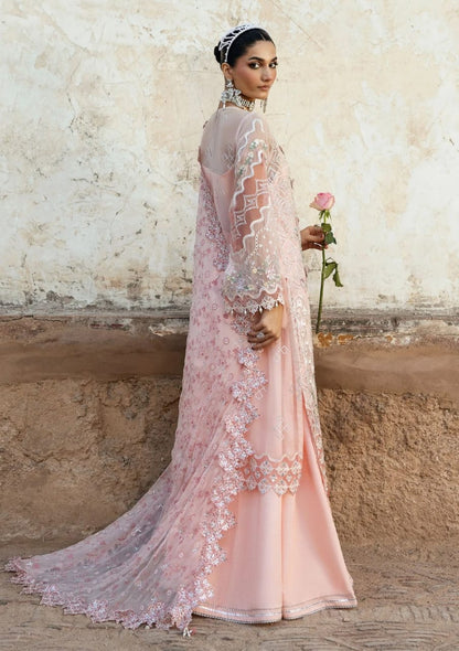 Sardinia Chiffon Fancy