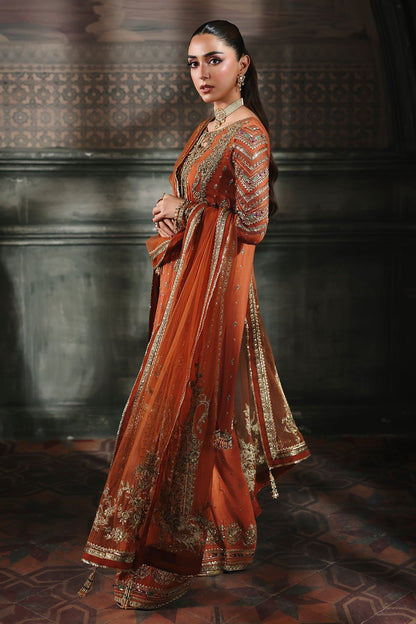 Charizma Chiffon Fancy