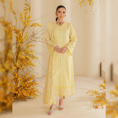 AIK Atelier Lawn Fancy