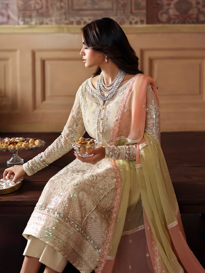 Gulaal Chiffon Fancy
