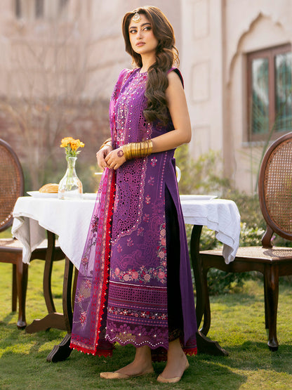 Bin Ilays Cotton Fancy