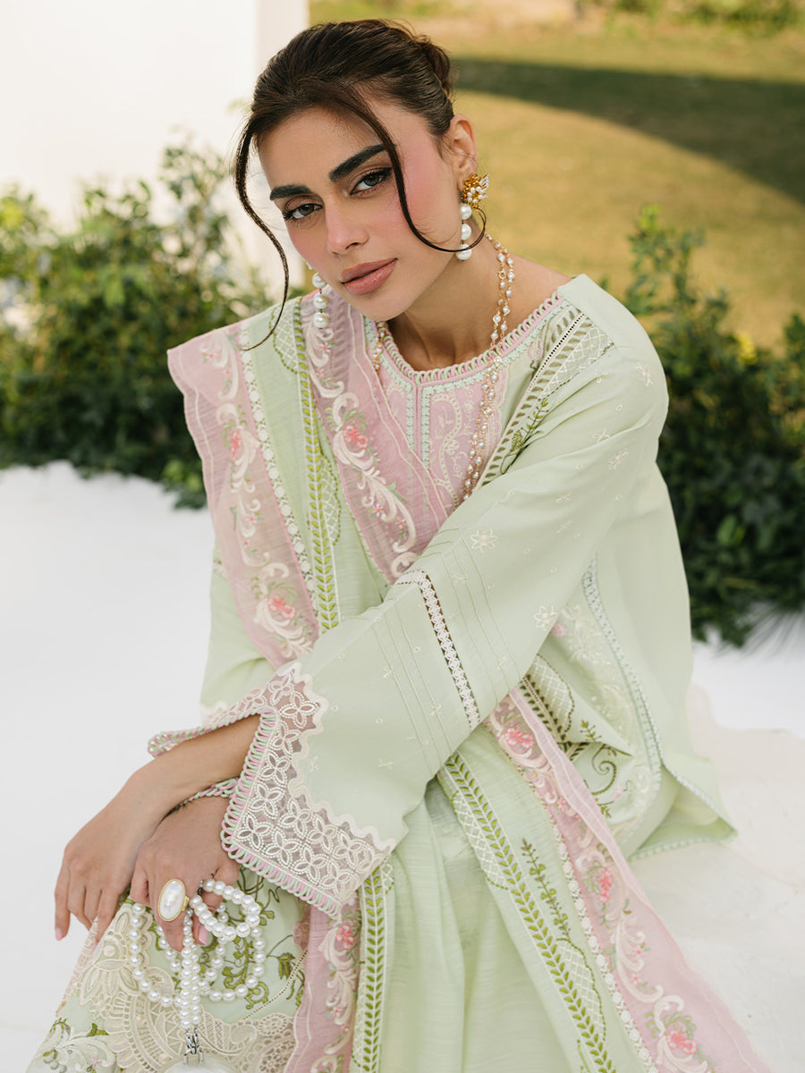 Bin Ilyas Lawn Fancy