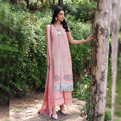 Republic Cotton Fancy