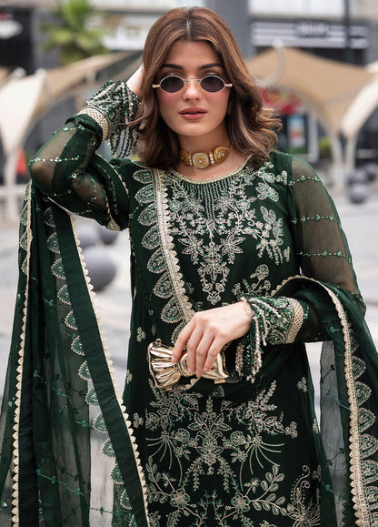 Sahane Chiffon Fancy