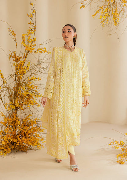 AIK Atelier Lawn Fancy