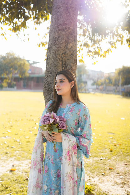 Aneela's Lawn Fancy