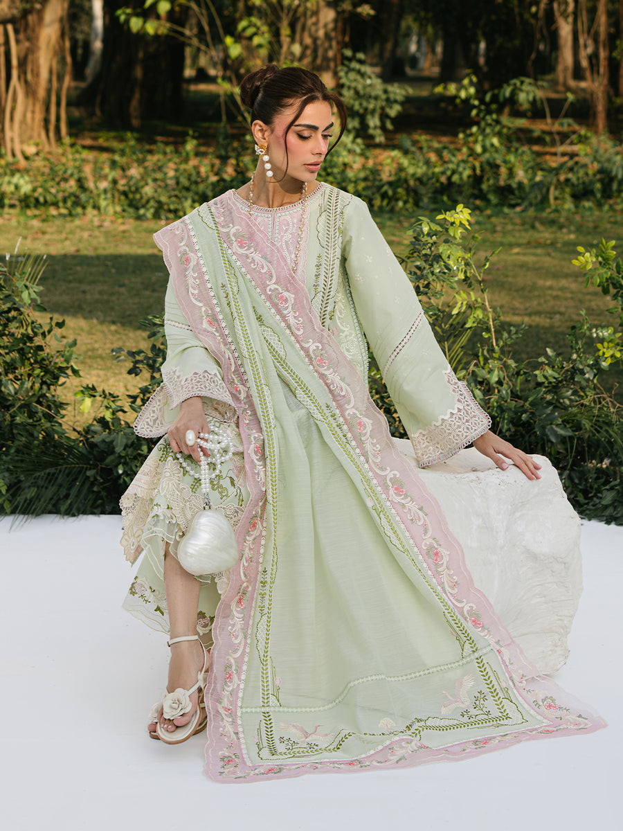 Bin Ilyas Lawn Fancy