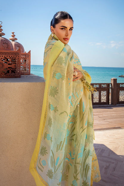 Rang Rasiya Lawn Fancy