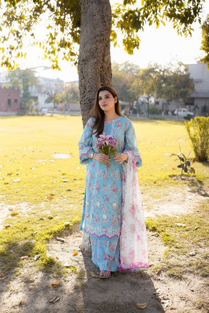 Aneela's Lawn Fancy