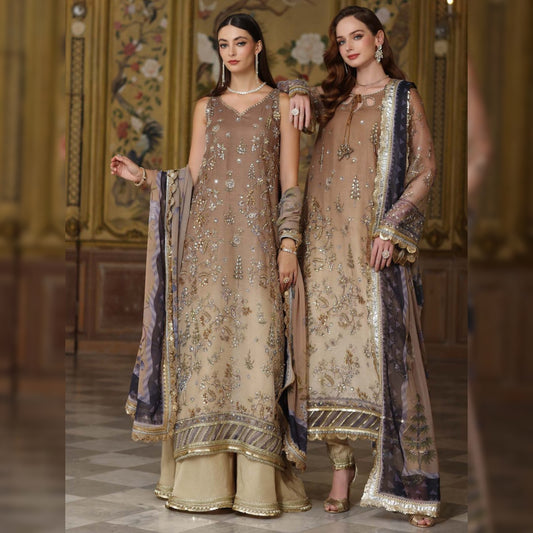 Saadia Asad Cotton Net Fancy