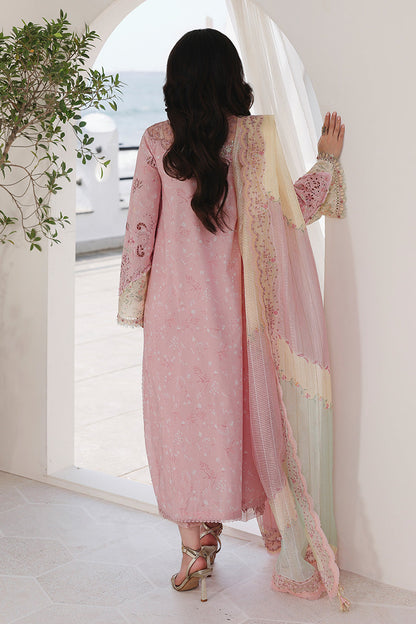 Qalamkar Lawn Fancy