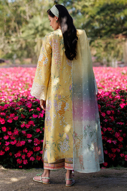 Jazmin Lawn Fancy