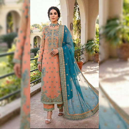 Akbar Aslam Organza Fancy