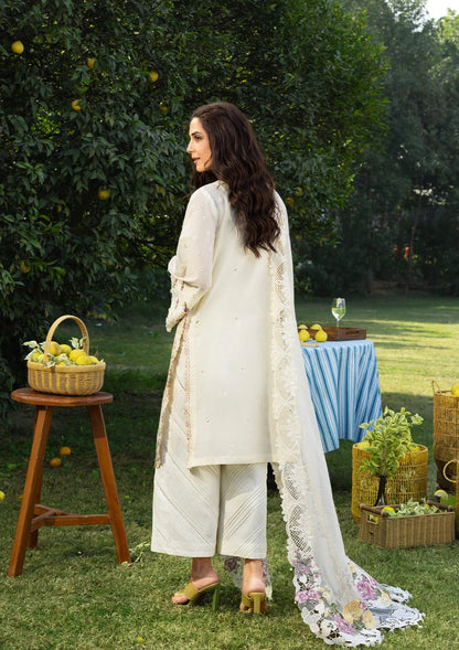 Elaf Lawn Fancy