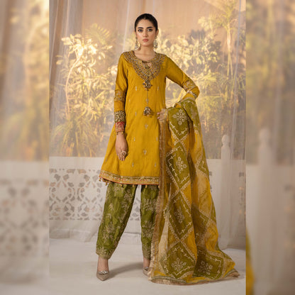 Maria B Organza Fancy