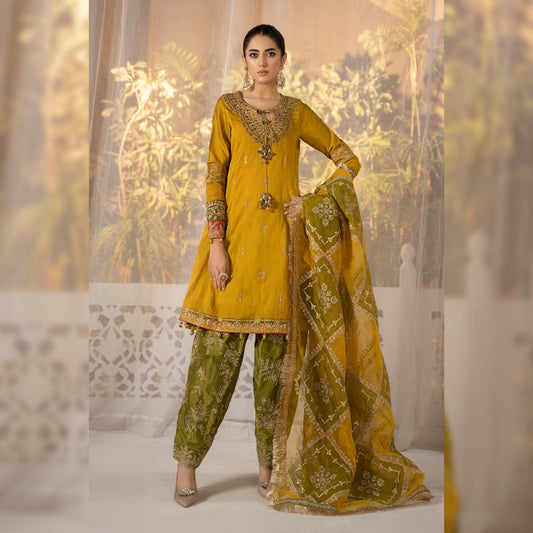 Maria B Organza Fancy