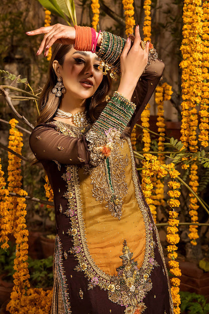 Khuda Baksh Chiffon Fancy